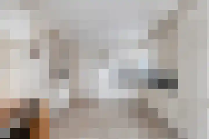 de Botterije 11 Schalkhaar thumbnail 13