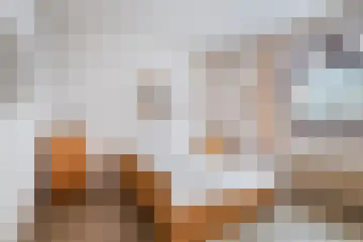 de Botterije 11 Schalkhaar thumbnail 16