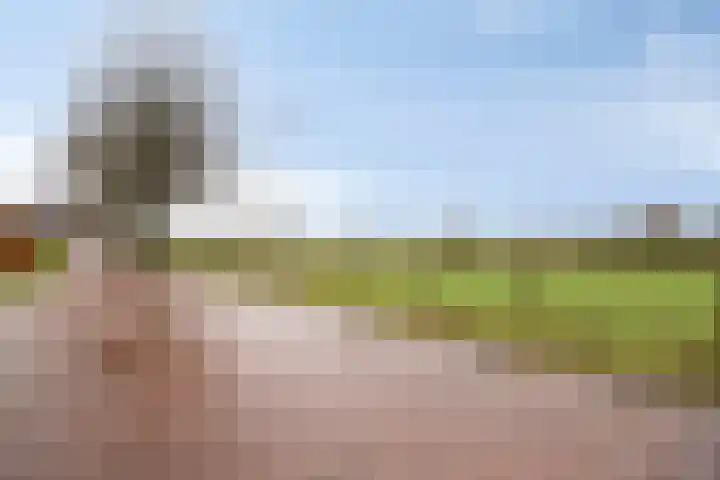 de Botterije 11 Schalkhaar thumbnail 35
