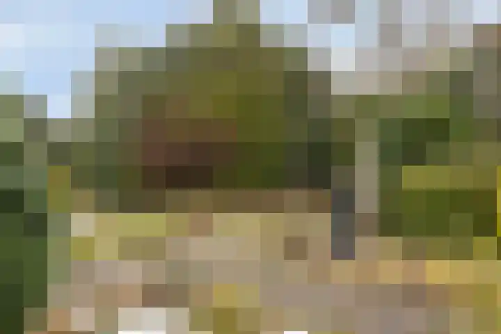 de Botterije 11 Schalkhaar thumbnail 39