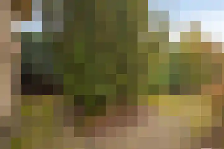 de Botterije 11 Schalkhaar thumbnail 43