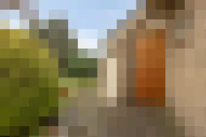 de Botterije 11 Schalkhaar thumbnail 45