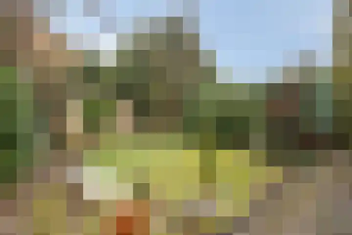 de Botterije 11 Schalkhaar thumbnail 46