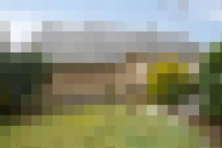 de Botterije 11 Schalkhaar thumbnail 49