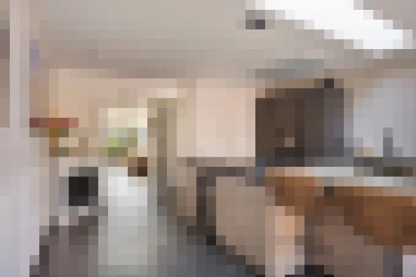 De Botting 12 Bovenkarspel thumbnail 12