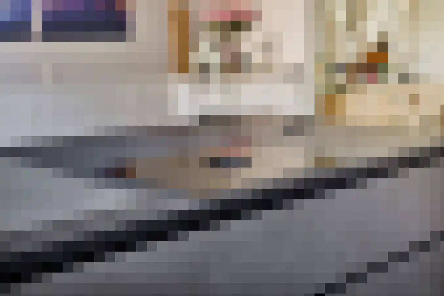 De Botting 12 Bovenkarspel thumbnail 15
