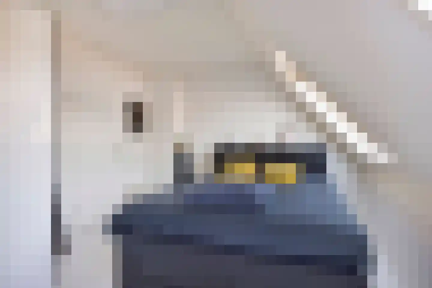 De Botting 12 Bovenkarspel thumbnail 20