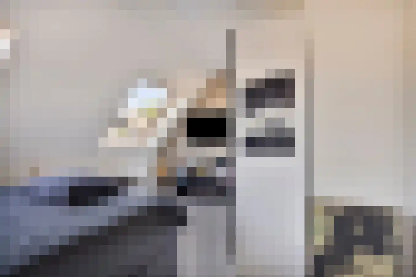 De Botting 12 Bovenkarspel thumbnail 23