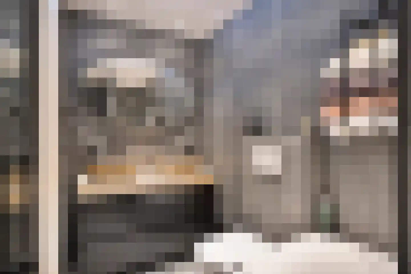 De Botting 12 Bovenkarspel thumbnail 25