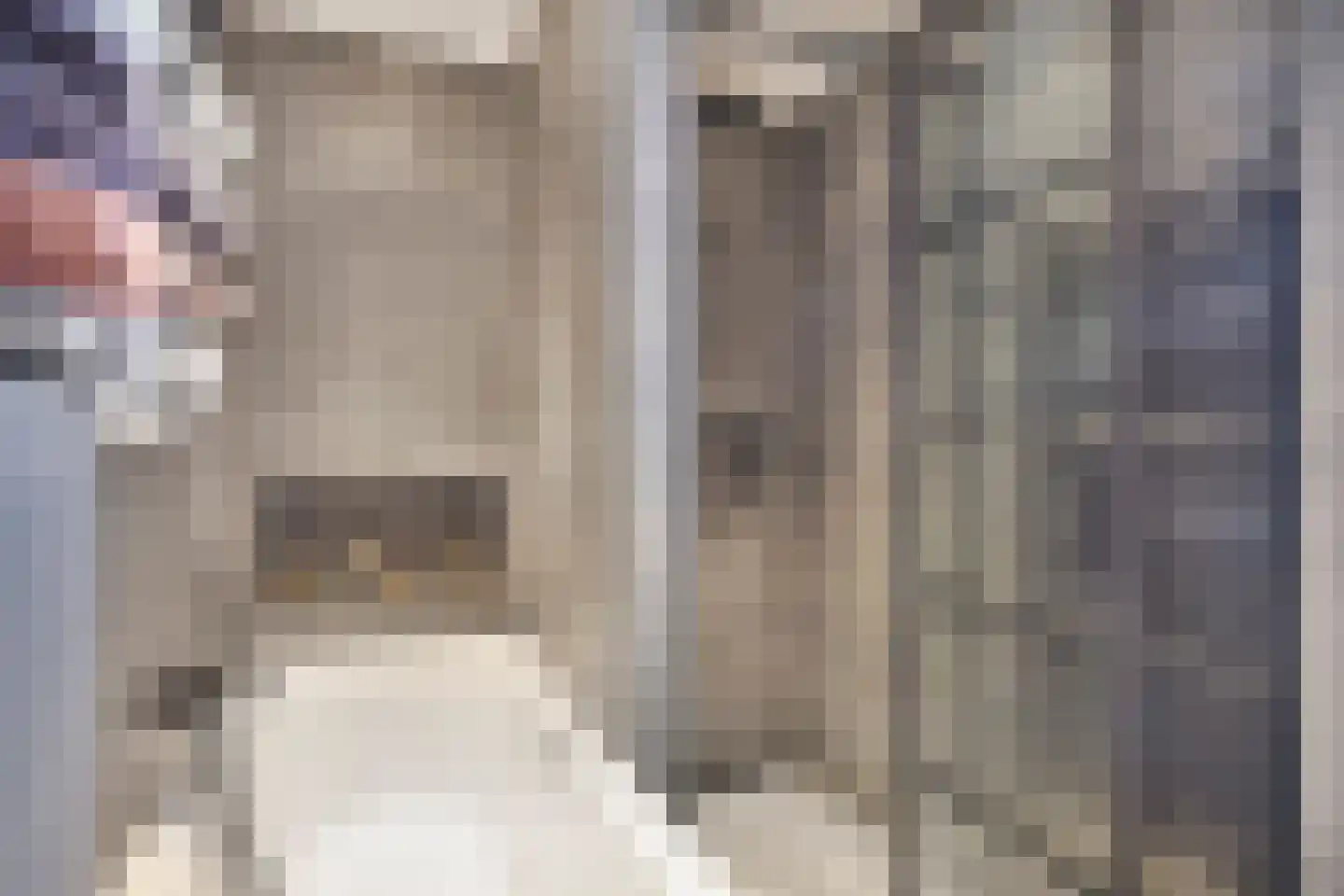 De Botting 12 Bovenkarspel thumbnail 26