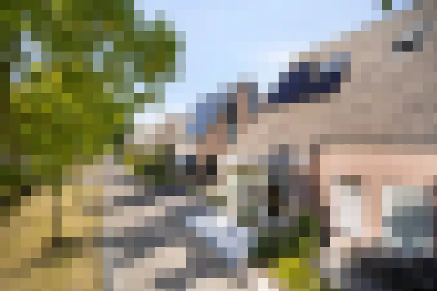 De Botting 12 Bovenkarspel thumbnail 37