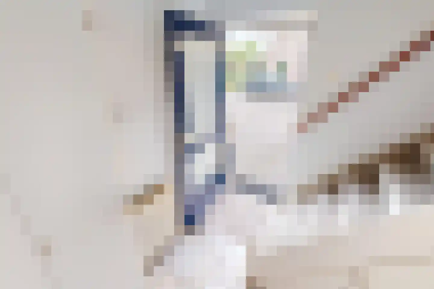 De Botting 13 Bovenkarspel thumbnail 10
