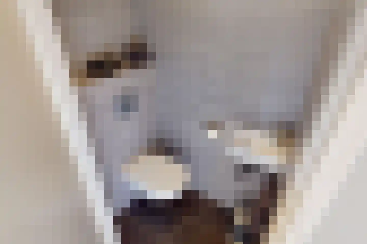 De Botting 13 Bovenkarspel thumbnail 12