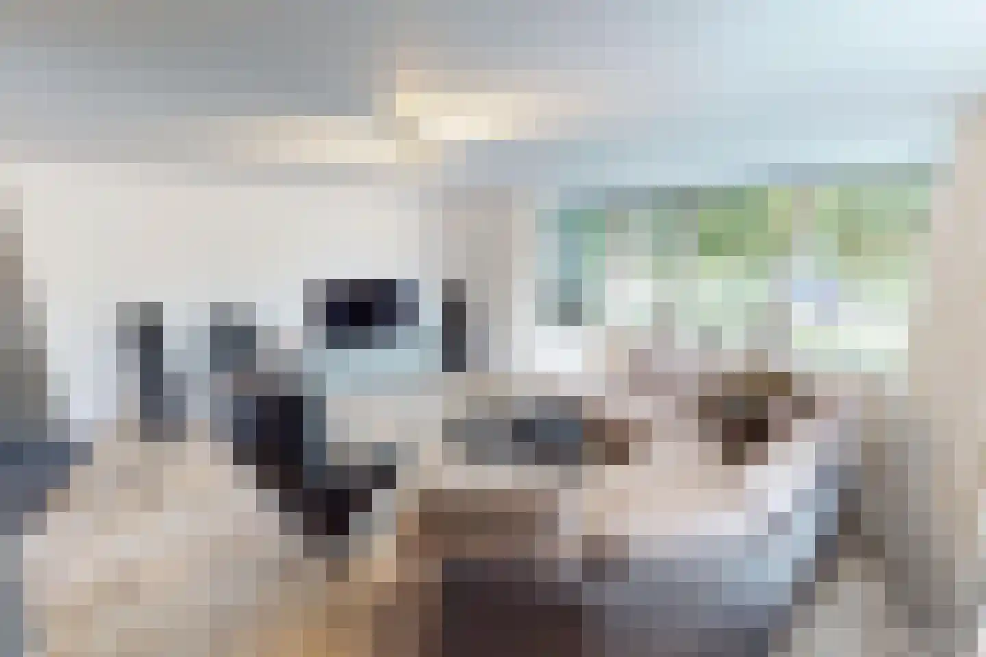 De Botting 13 Bovenkarspel thumbnail 14