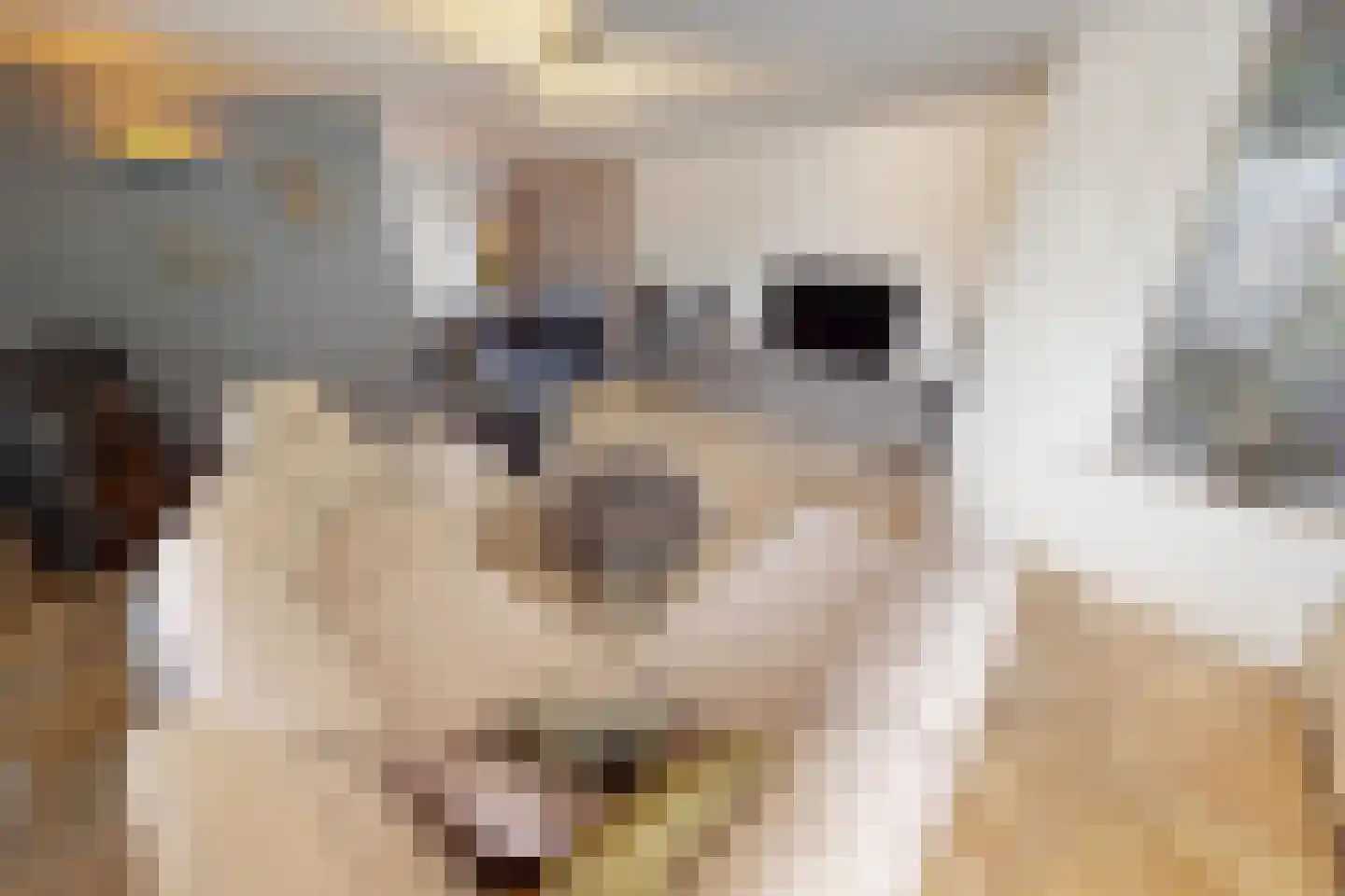 De Botting 13 Bovenkarspel thumbnail 15