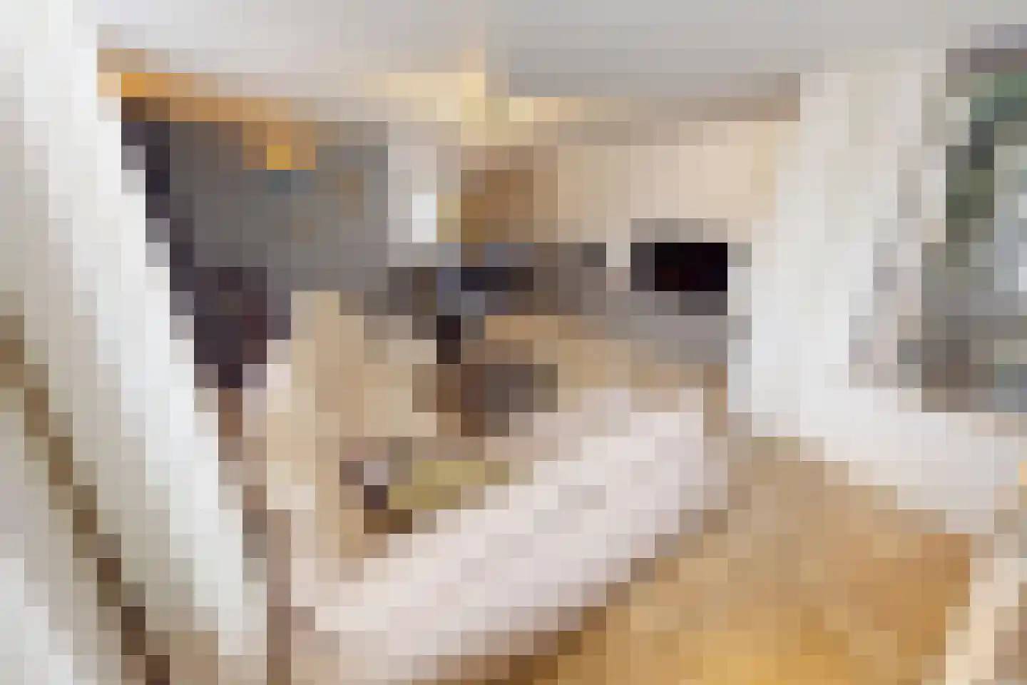 De Botting 13 Bovenkarspel thumbnail 16