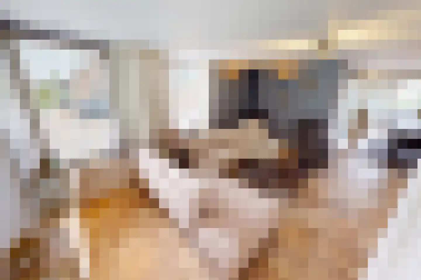 De Botting 13 Bovenkarspel thumbnail 17