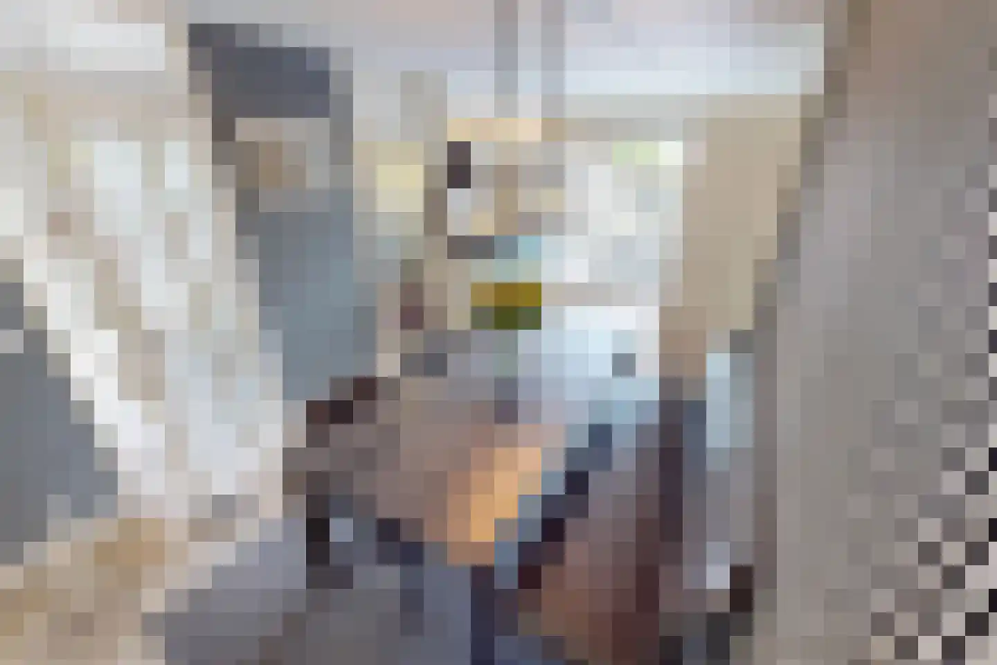 De Botting 13 Bovenkarspel thumbnail 19