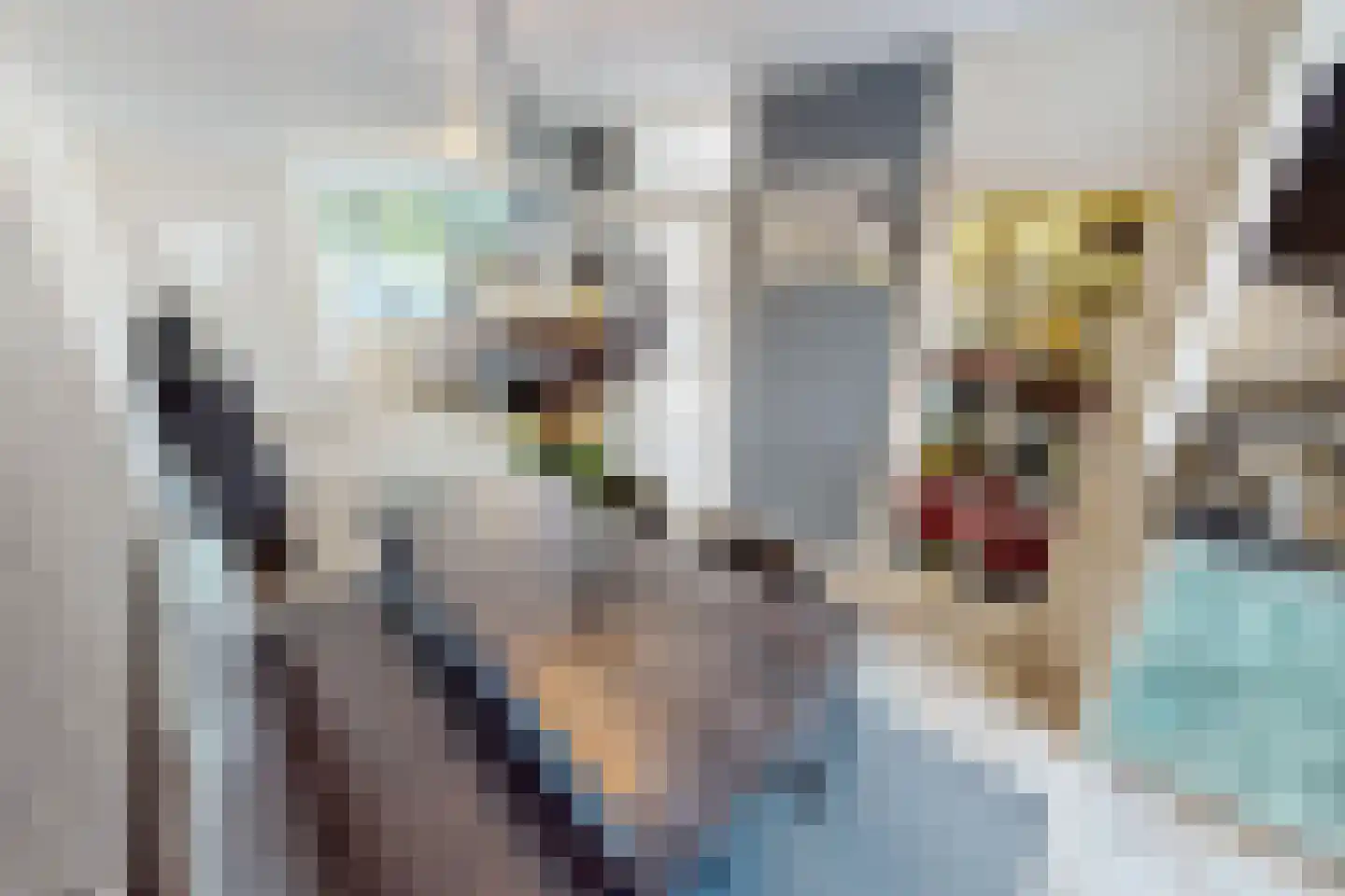 De Botting 13 Bovenkarspel thumbnail 22