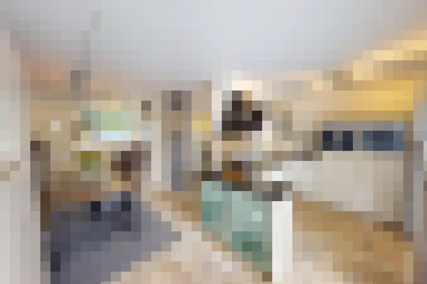 De Botting 13 Bovenkarspel thumbnail 23