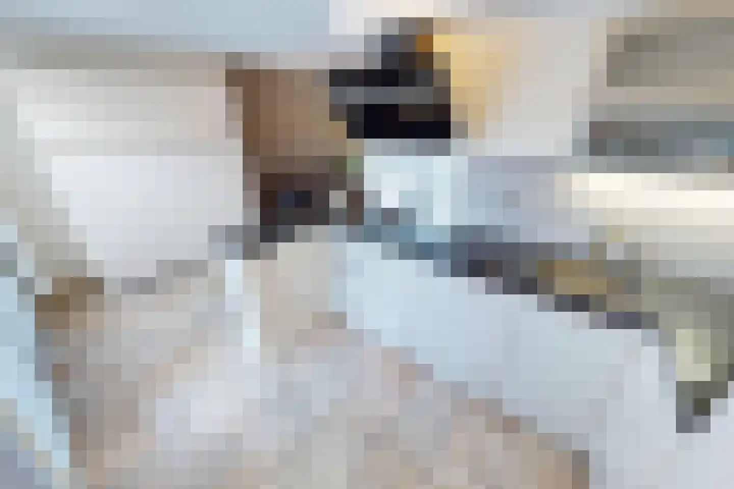 De Botting 13 Bovenkarspel thumbnail 26