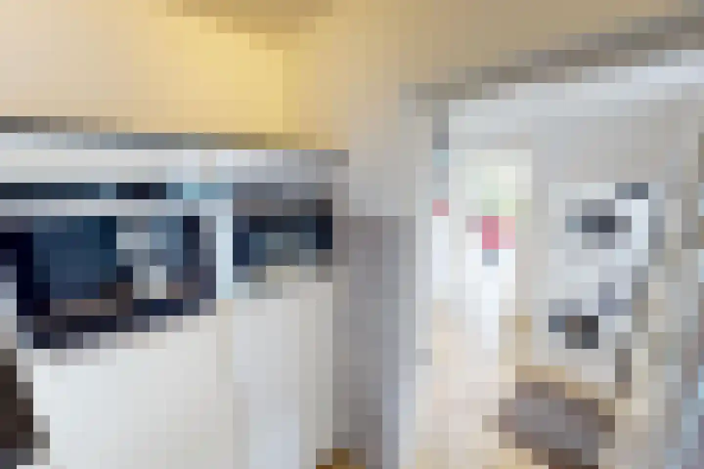 De Botting 13 Bovenkarspel thumbnail 28