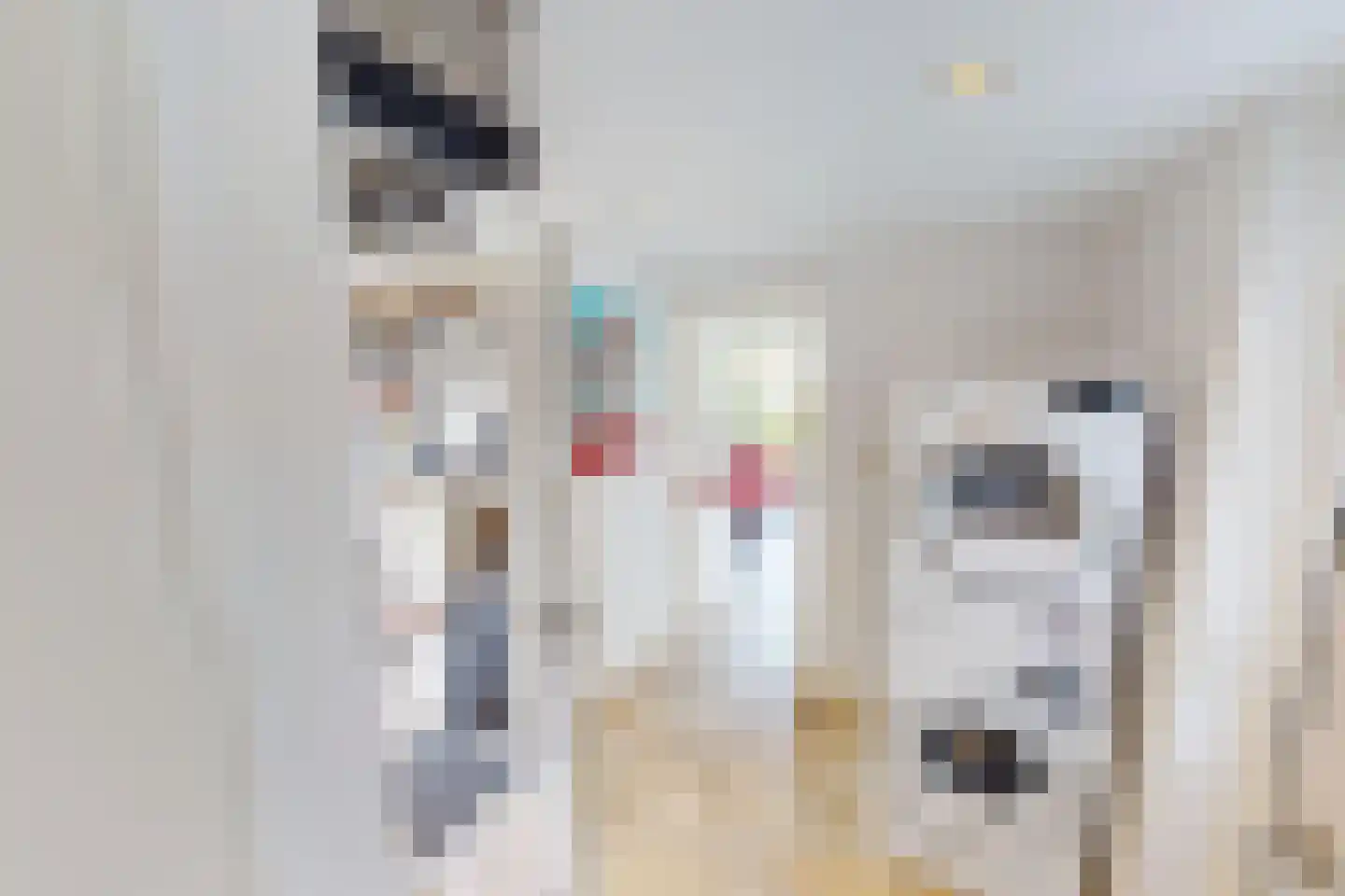 De Botting 13 Bovenkarspel thumbnail 29