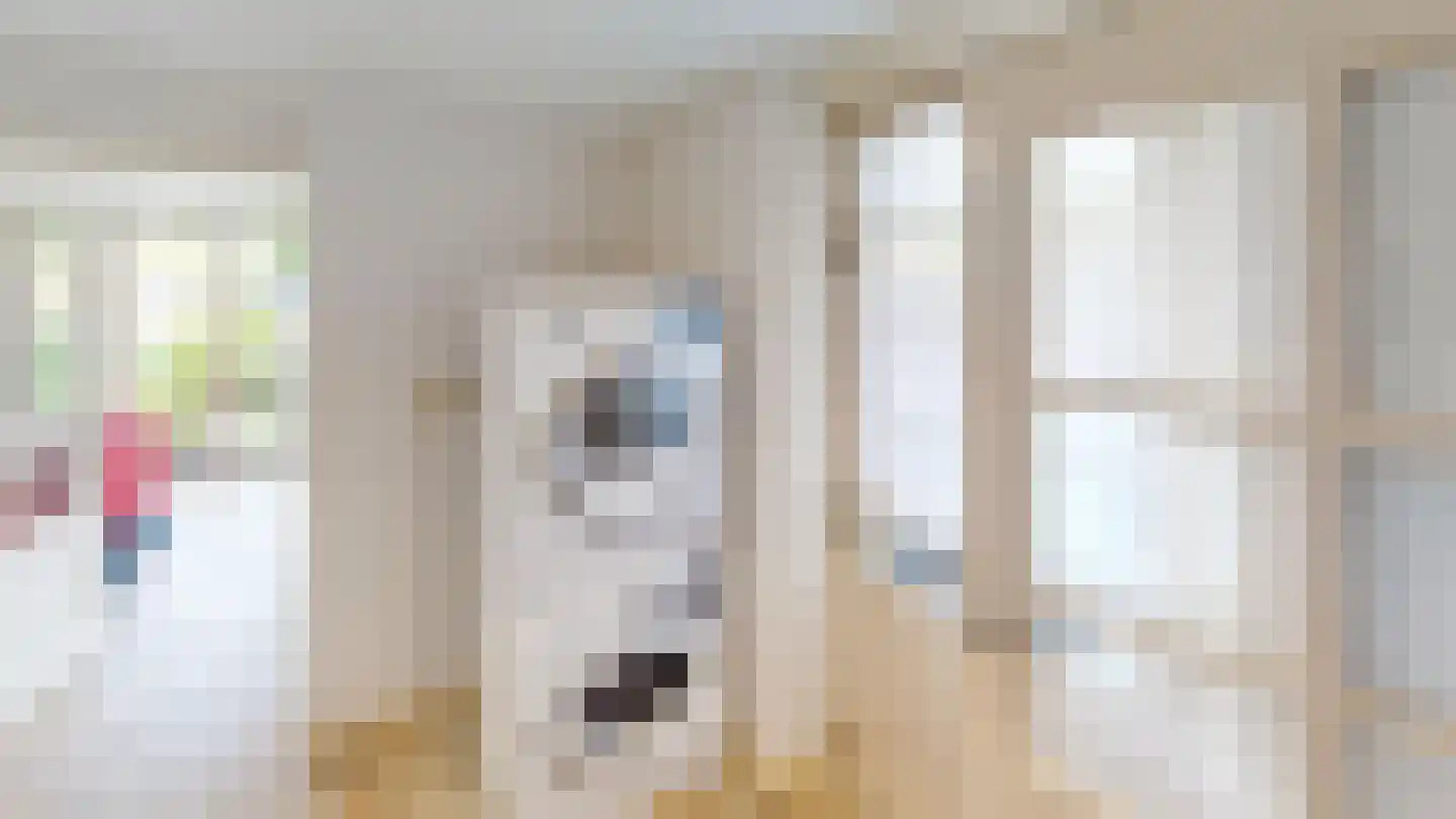 De Botting 13 Bovenkarspel thumbnail 30