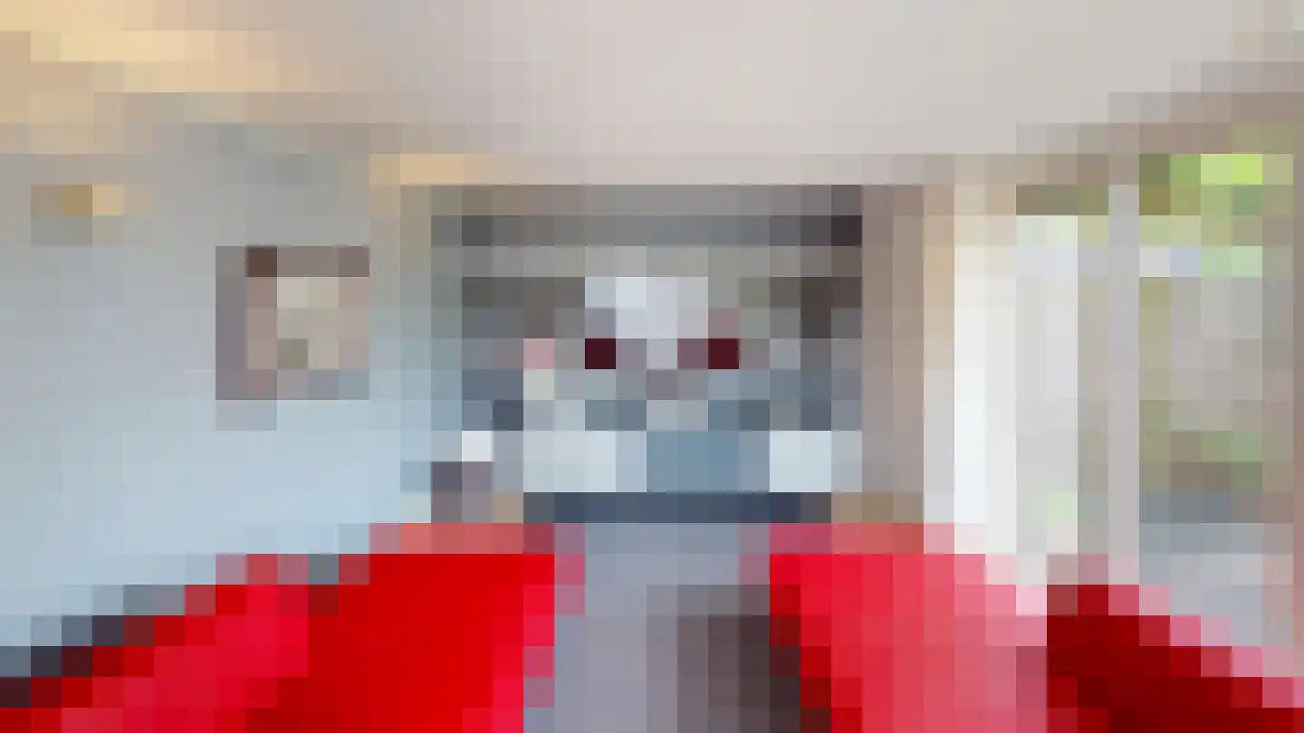 De Botting 13 Bovenkarspel thumbnail 33