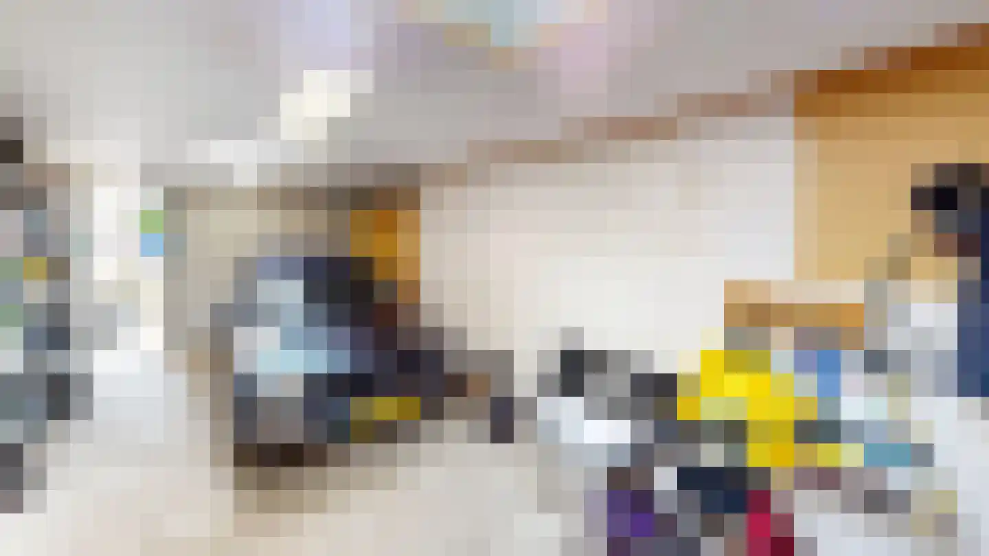 De Botting 13 Bovenkarspel thumbnail 35