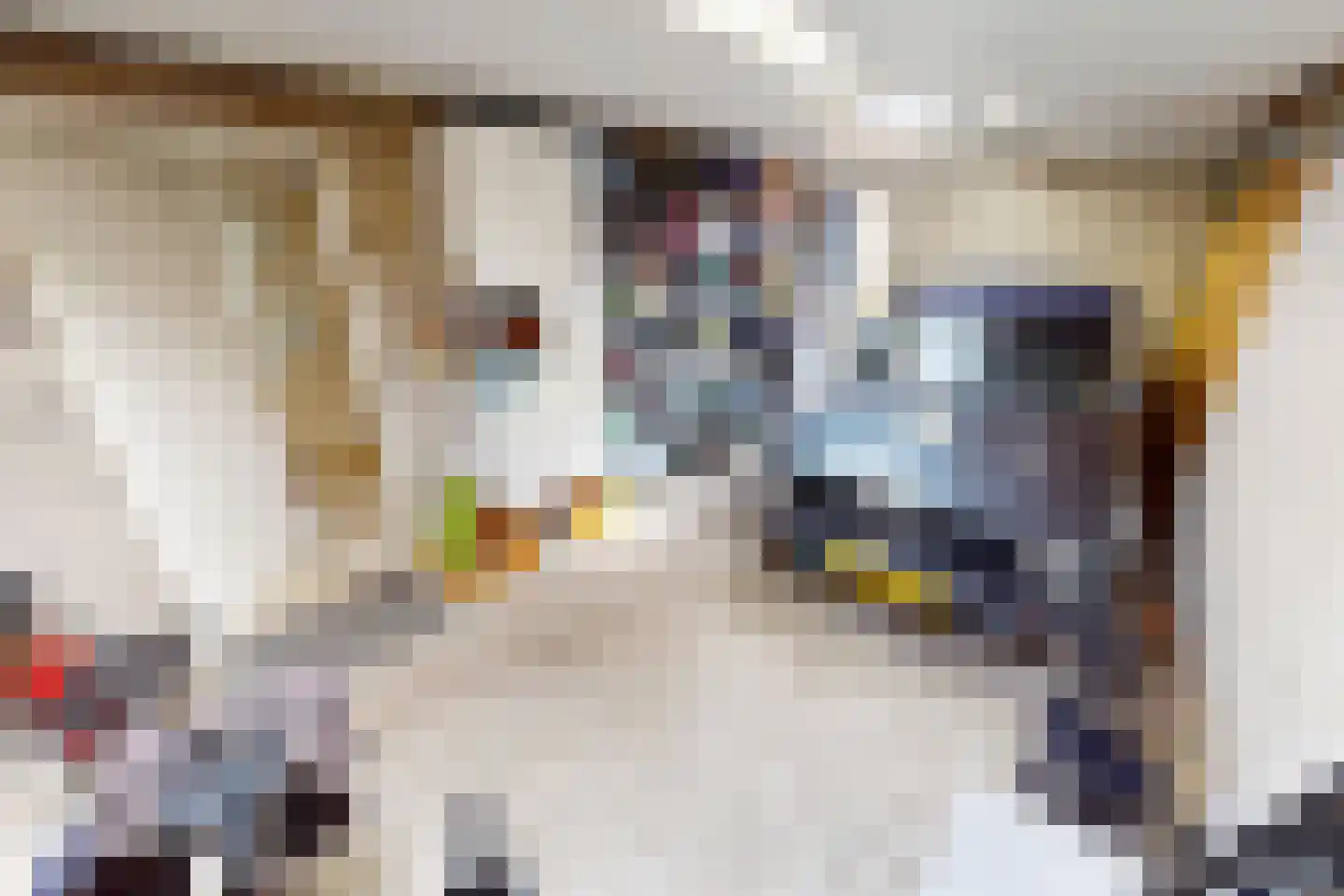 De Botting 13 Bovenkarspel thumbnail 37