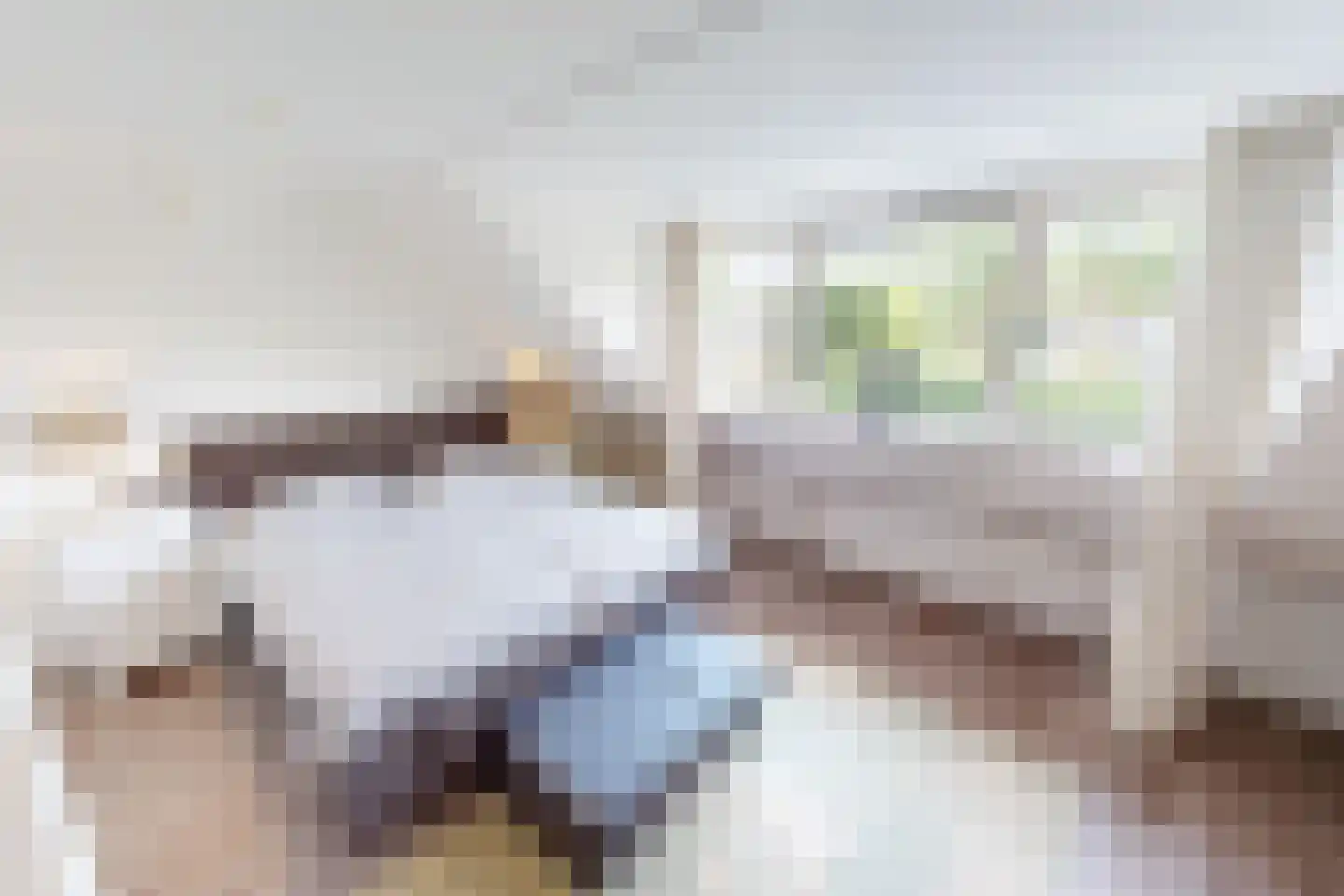 De Botting 13 Bovenkarspel thumbnail 40