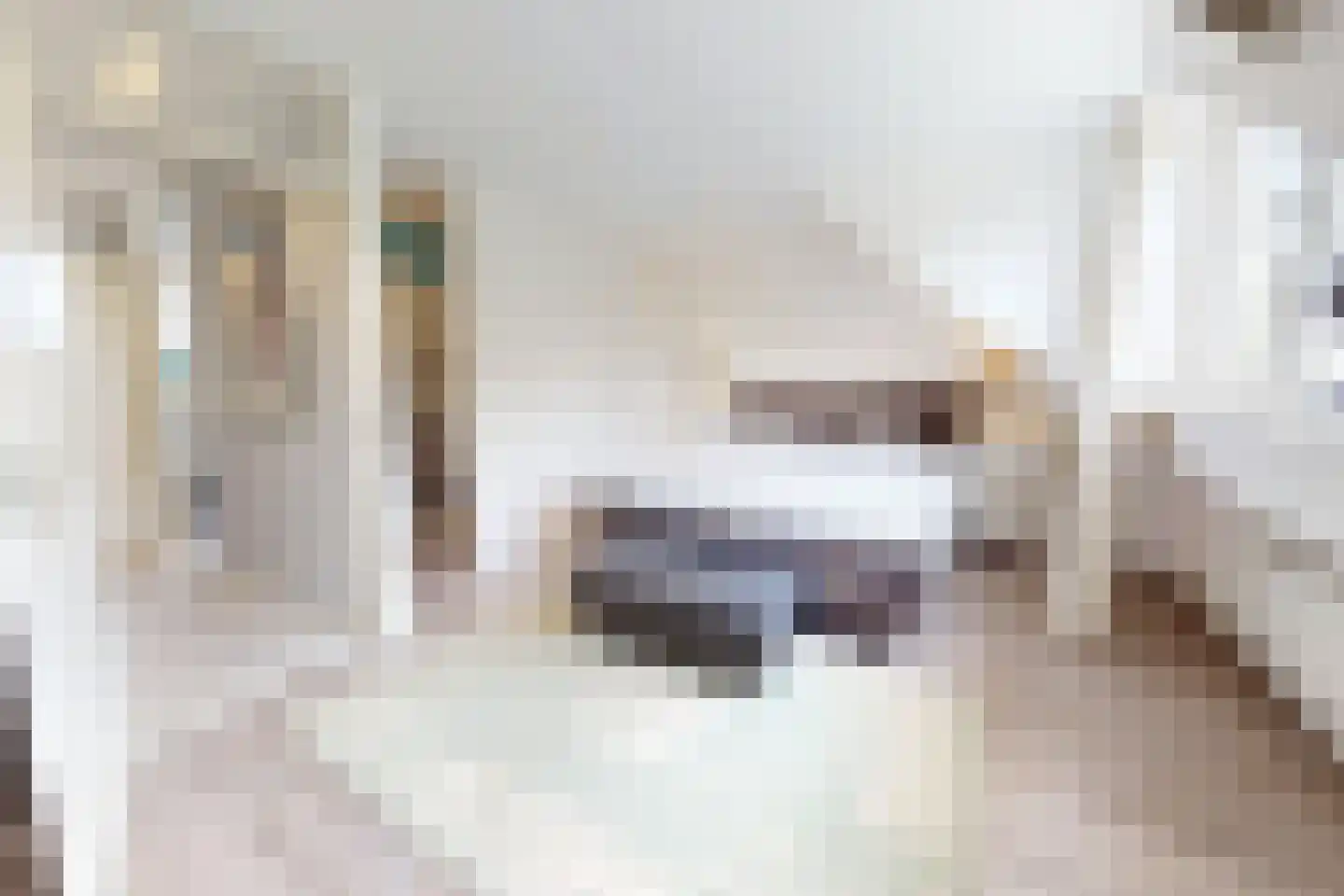 De Botting 13 Bovenkarspel thumbnail 41