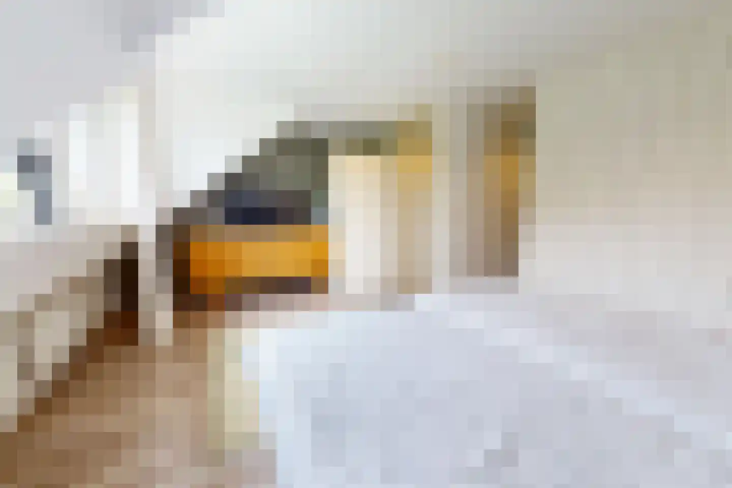 De Botting 13 Bovenkarspel thumbnail 44