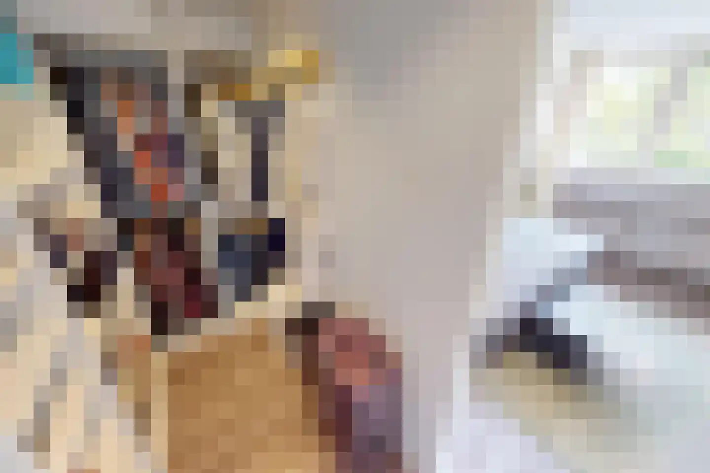 De Botting 13 Bovenkarspel thumbnail 45