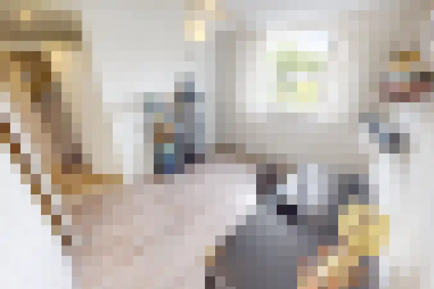 De Botting 13 Bovenkarspel thumbnail 46