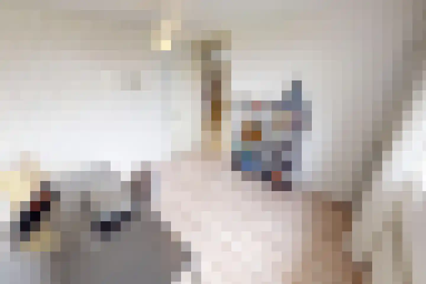 De Botting 13 Bovenkarspel thumbnail 47