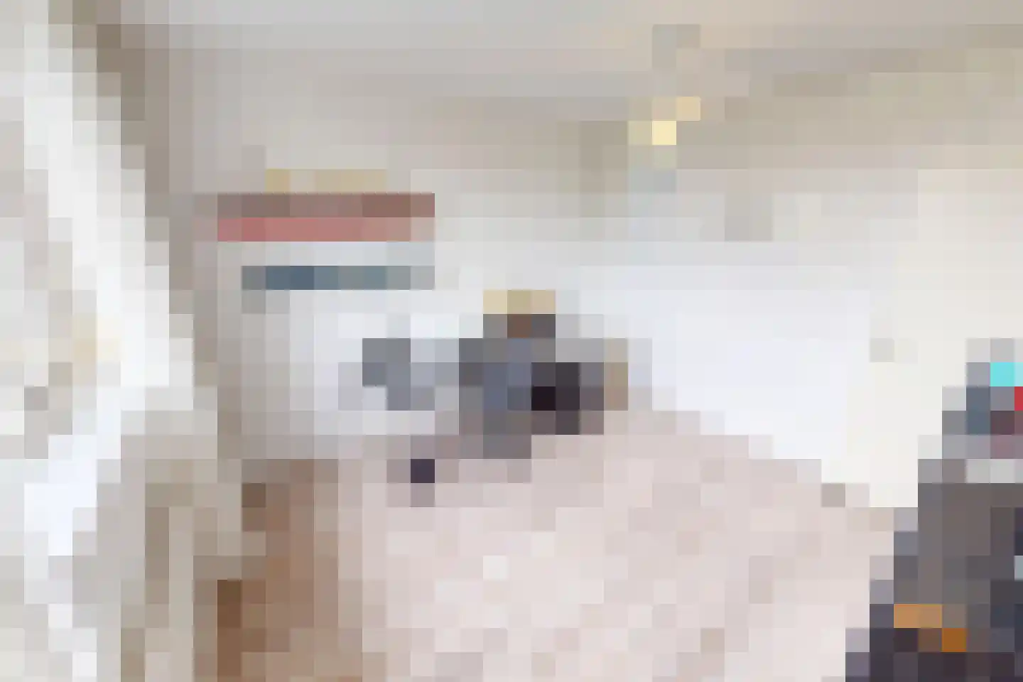 De Botting 13 Bovenkarspel thumbnail 48