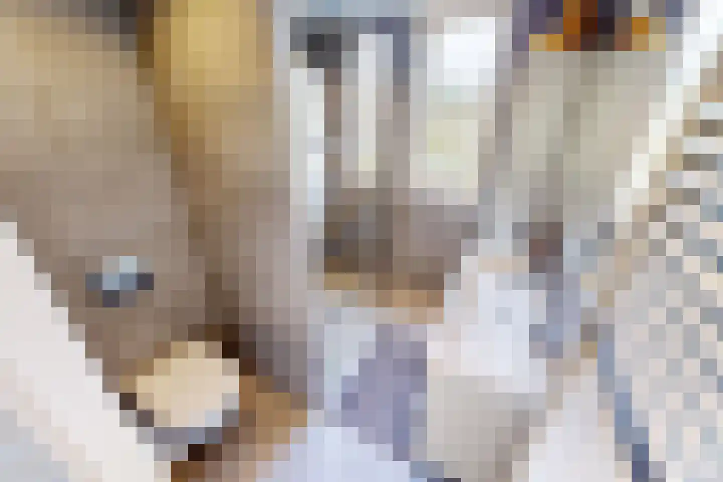 De Botting 13 Bovenkarspel thumbnail 49