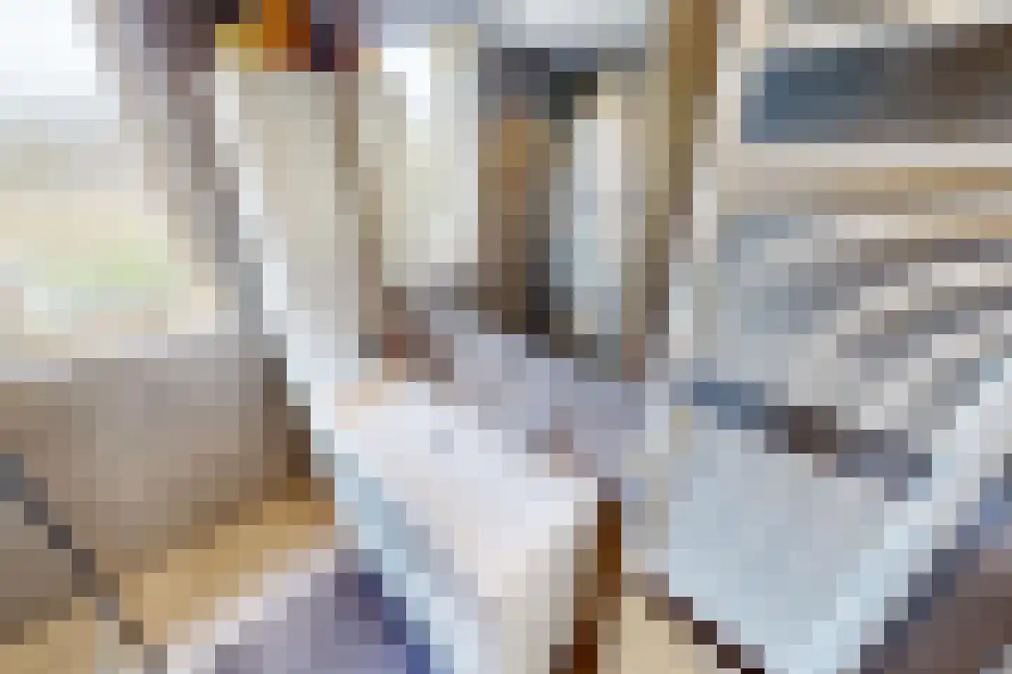 De Botting 13 Bovenkarspel thumbnail 50