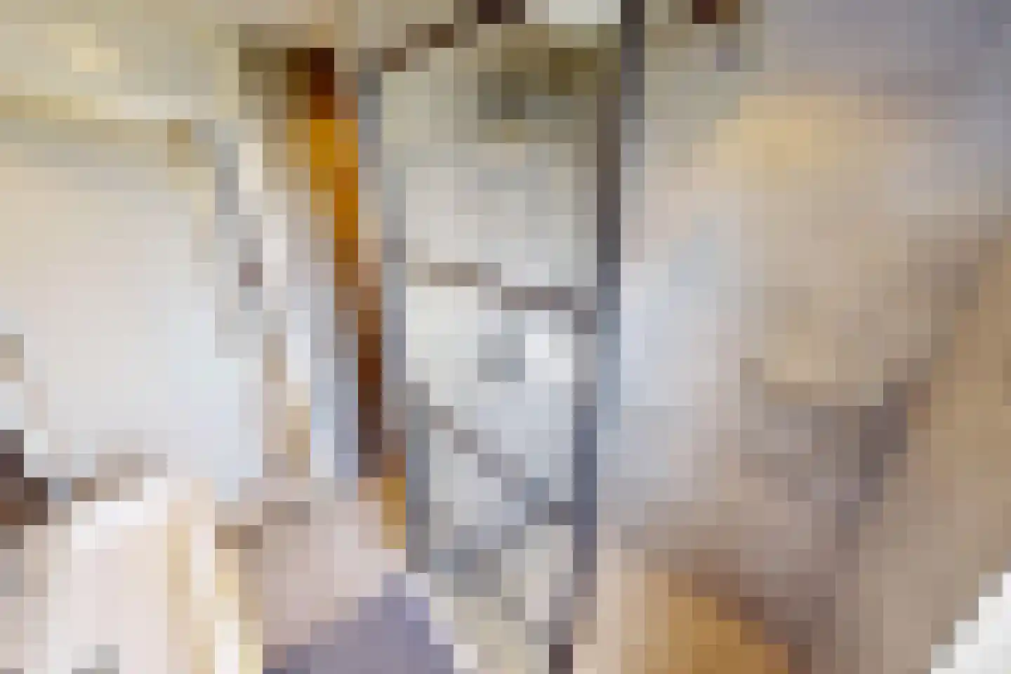 De Botting 13 Bovenkarspel thumbnail 51
