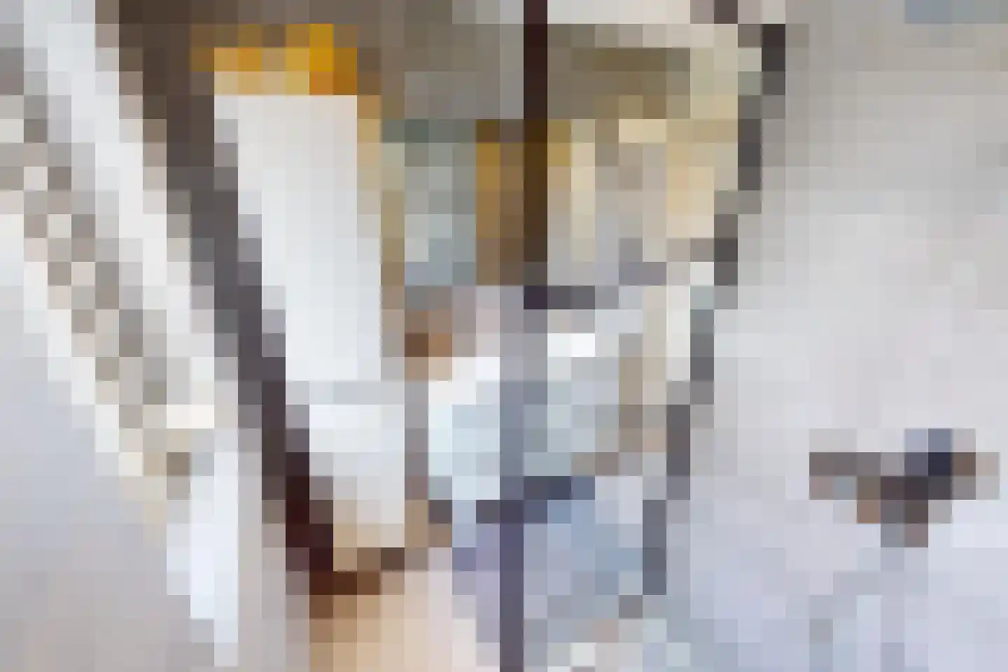 De Botting 13 Bovenkarspel thumbnail 52