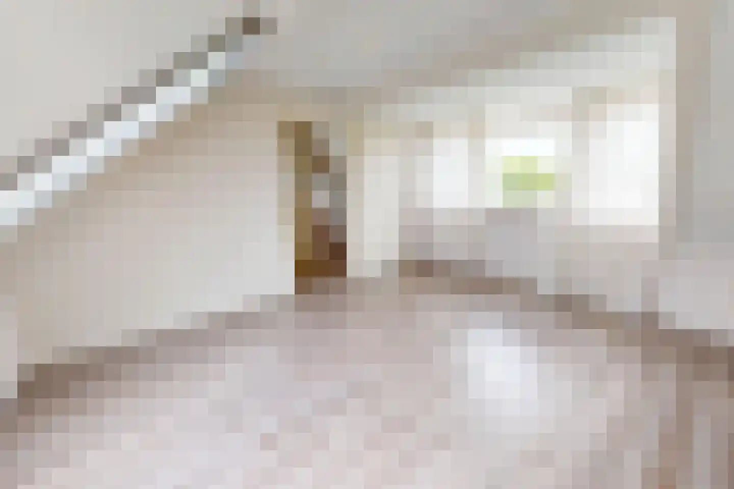 De Botting 13 Bovenkarspel thumbnail 55