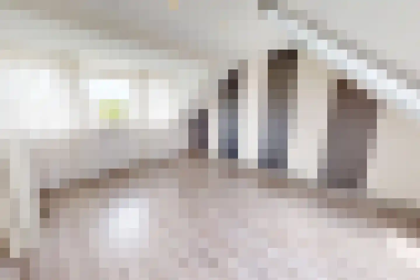 De Botting 13 Bovenkarspel thumbnail 56