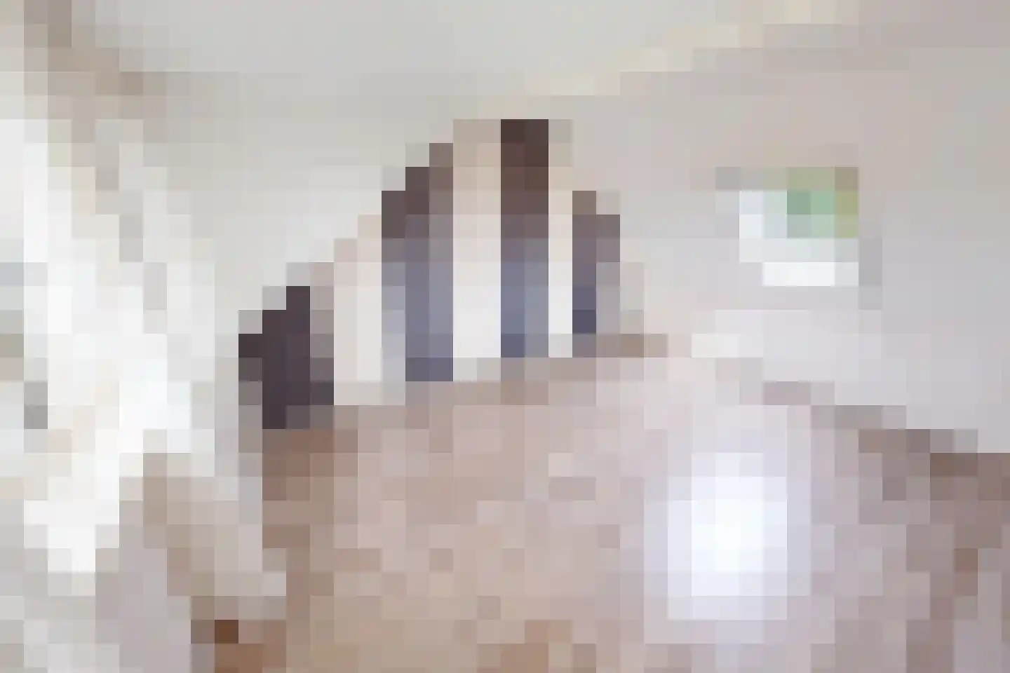 De Botting 13 Bovenkarspel thumbnail 57