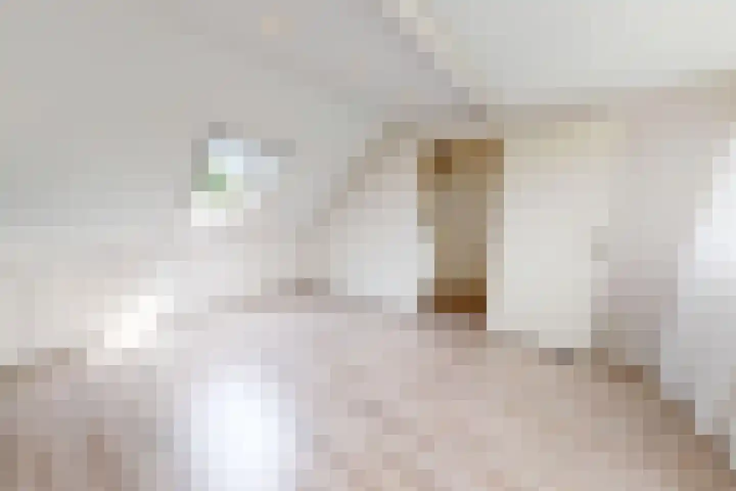 De Botting 13 Bovenkarspel thumbnail 58