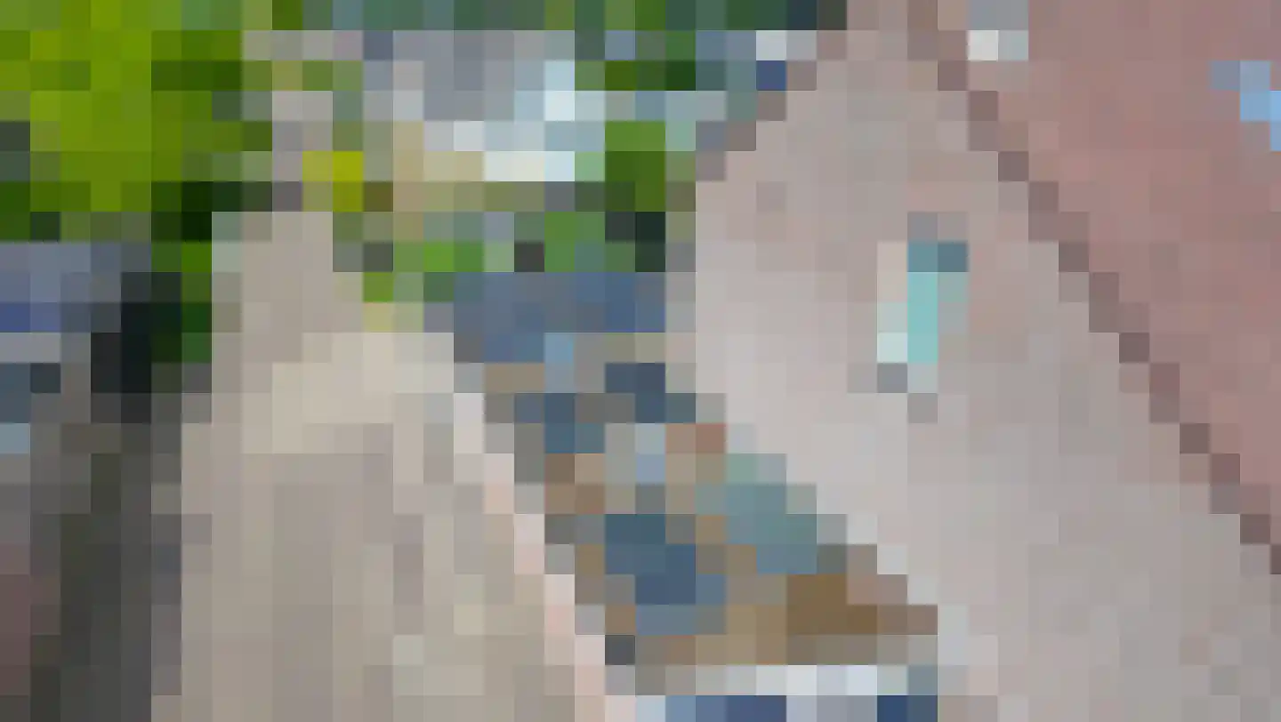 De Botting 13 Bovenkarspel thumbnail 59