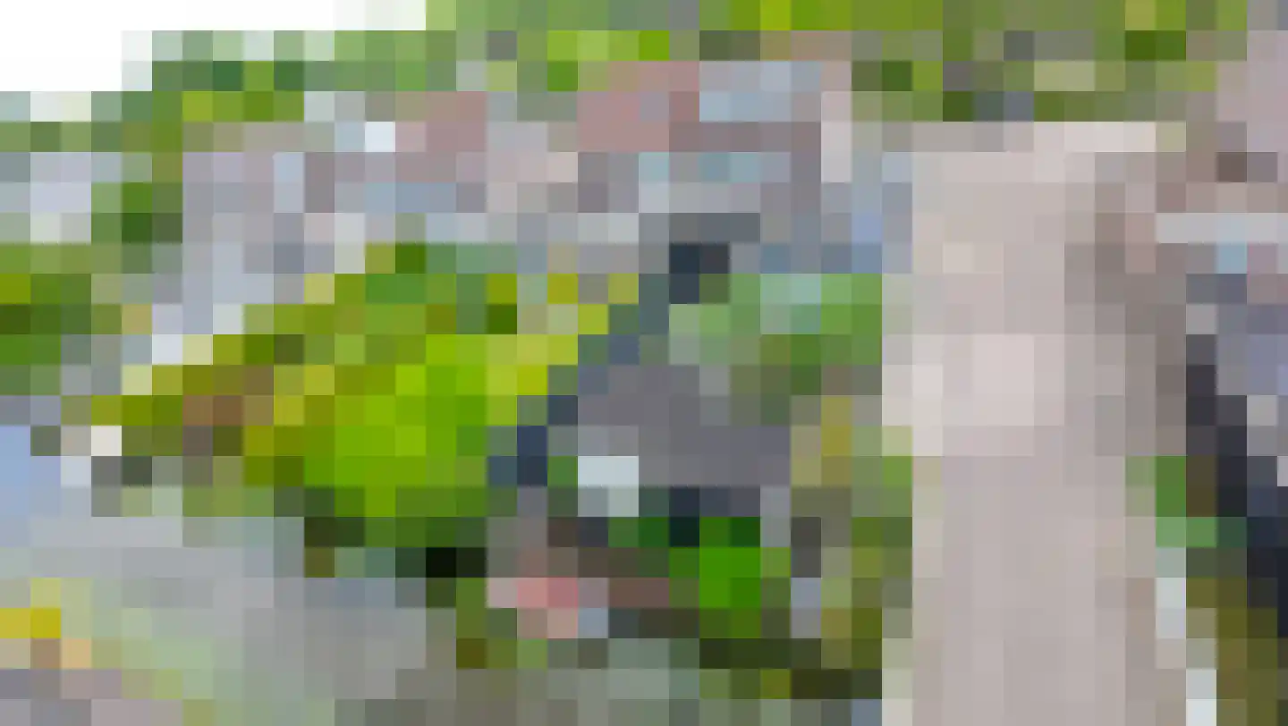 De Botting 13 Bovenkarspel thumbnail 60