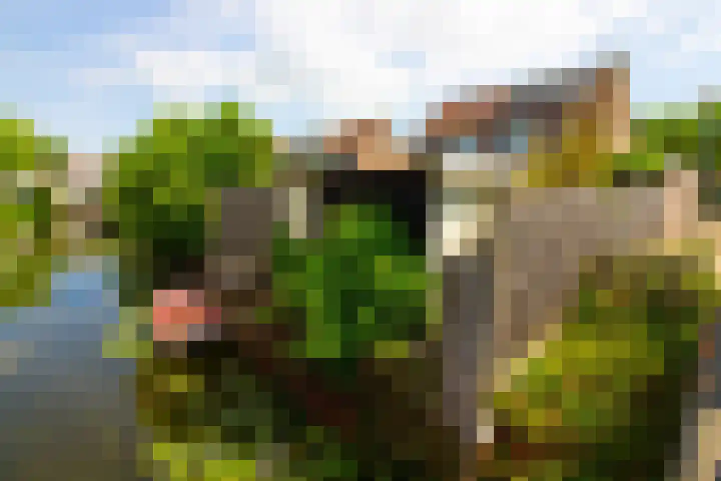 De Botting 13 Bovenkarspel thumbnail 61