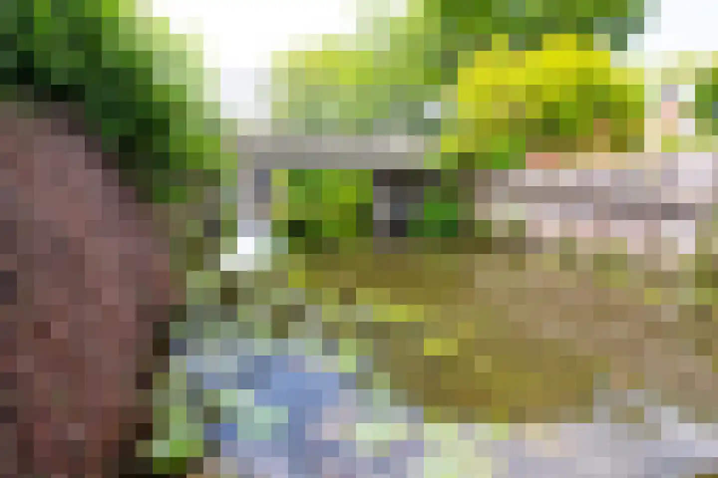 De Botting 13 Bovenkarspel thumbnail 62